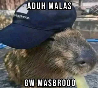 😊 emoji Aduh masbro by ngaf @cherwi Telegram sticker 16 of 62