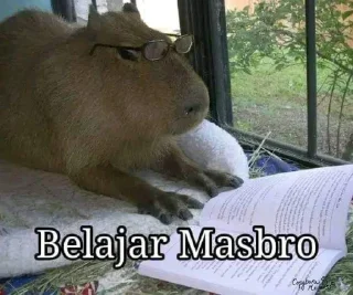 🤓 emoji Aduh masbro by ngaf @cherwi Telegram sticker 23 of 62