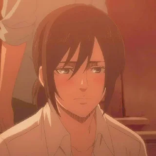 🔖 emoji ✷ ࣪˖ Mikasa ackerman  ִֶָ @yourtikel Telegram sticker 16 of 25