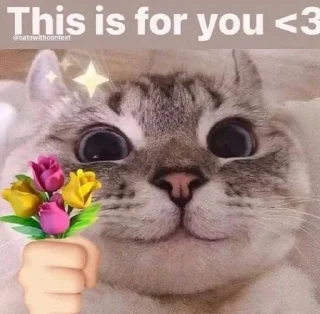 🌟 emoji Kizah_Cats Telegram sticker 10 of 60