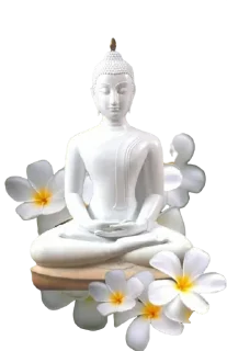 🙏 emoji Jai Bhim Telegram sticker 22 of 110