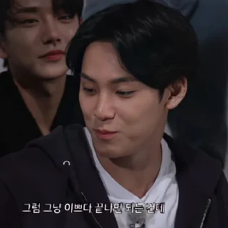 Sticker from Mingyu ⋆ @stickernct