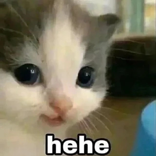 😂 emoji @WARGOD_DK Vol.3 Telegram sticker 12 of 120