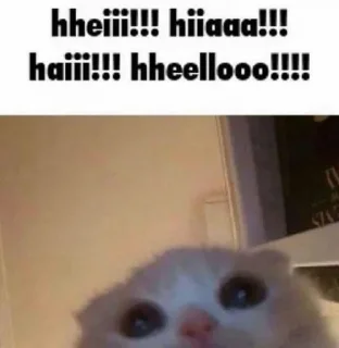 😍 emoji marie’s kitty cat Telegram sticker 15 of 15
