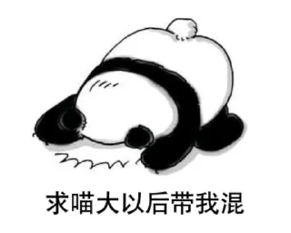 😺 emoji 茉莉跑了哟 Telegram sticker 10 of 44