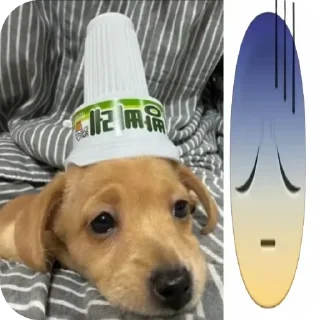 🐶 emoji маруся Telegram sticker 5 of 55