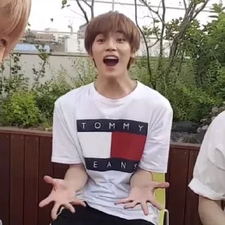 🌹 emoji lee taeyong meme @stikermemeidolkpop Telegram sticker 16 of 32