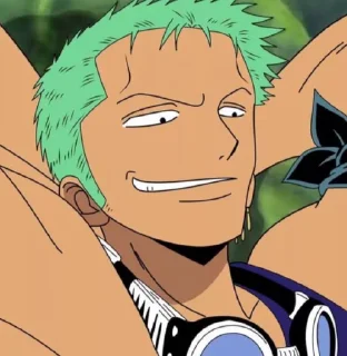 ☘️ emoji Zoro || @moiStickers Telegram sticker 12 of 15