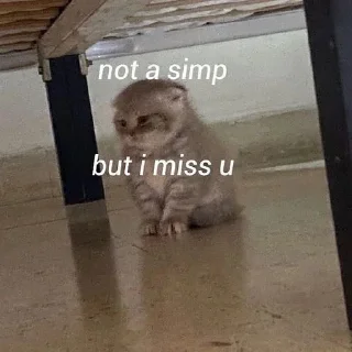 🙁 emoji stix ni tamie Telegram sticker 8 of 40
