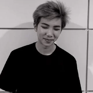 🐨 emoji ✶˚. 김남준  ҂  @Califorinia ᝰ Telegram sticker 11 of 75