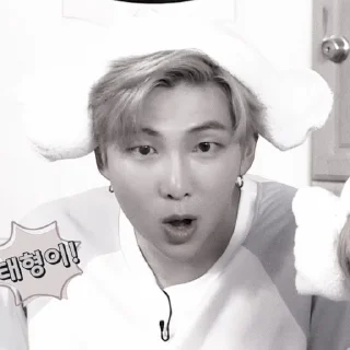🐨 emoji ✶˚. 김남준  ҂  @Califorinia ᝰ Telegram sticker 21 of 75