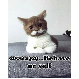 😂 emoji @Angel_Sweetie_Pie1 Vol.4 Telegram sticker 16 of 110