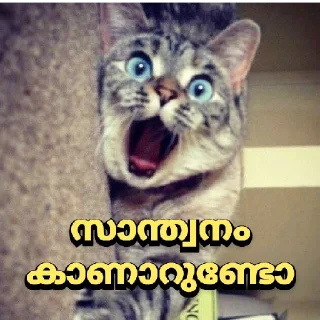 😂 emoji @Angel_Sweetie_Pie1 Vol.2 Telegram sticker 24 of 120
