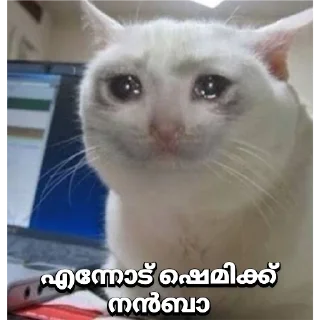 😂 emoji @Angel_Sweetie_Pie1 Vol.5 Telegram sticker 19 of 45
