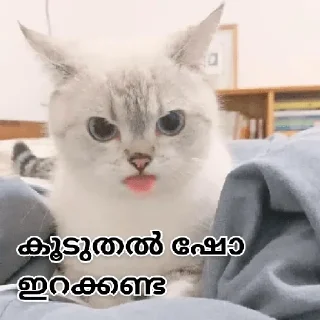 😂 emoji @Angel_Sweetie_Pie1 Vol.2 Telegram sticker 2 of 120