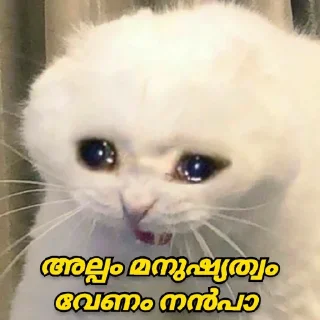 😑 emoji @Angel_Sweetie_Pie1 Vol.4 Telegram sticker 17 of 110