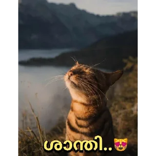😂 emoji @Angel_Sweetie_Pie1 Vol.4 Telegram sticker 15 of 110