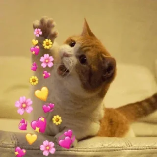 😂 emoji @Angel_Sweetie_Pie1 Vol.2 Telegram sticker 18 of 120