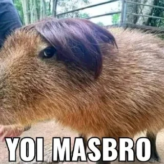 😎 emoji masbro Telegram sticker 14 of 38