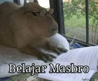🤰 emoji masbro Telegram sticker 14 of 49