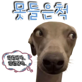 🐕‍🦺 emoji 🐶강아지단🐶 Telegram sticker 15 of 93