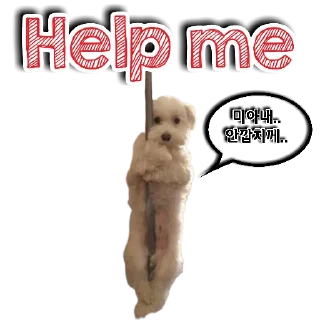 🐕‍🦺 emoji 🐶강아지단🐶 Telegram sticker 17 of 93