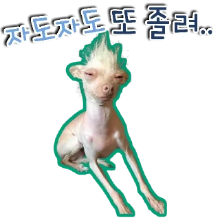 🐕‍🦺 emoji 🐶강아지단🐶 Telegram sticker 23 of 93