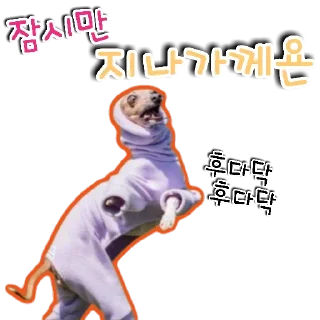 🐕‍🦺 emoji 🐶강아지단🐶 Telegram sticker 18 of 93