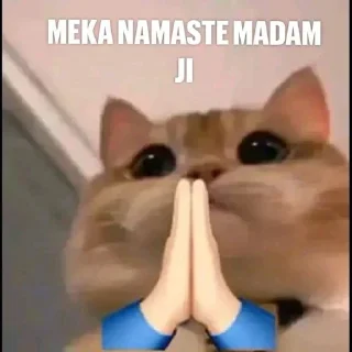 🙏 emoji Random Memes @MemezCore Telegram sticker 16 of 36