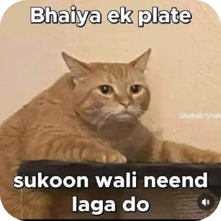 🐱 emoji Rahul Gandhi Telegram sticker 14 of 35