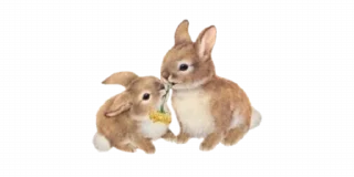 🐁 emoji ⁽⁽ଘ ⍌ @MWlLKY ⚝ @FANTACHIE ✄ꫬ᪻ Telegram sticker 9 of 25