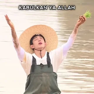 🤲 emoji Seventeen right here Telegram sticker 17 of 44