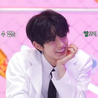 📎 emoji ⬦ׄ ֶָ֪   HEESEUNG V3 @JUNGGOKlE  𖥔 Telegram sticker 11 of 42
