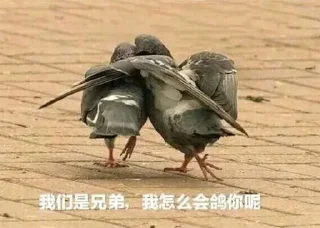 😂 emoji 凯馨哟 Telegram sticker 16 of 88