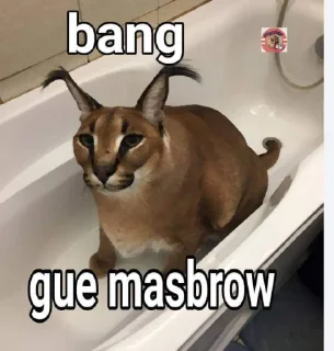 🤓 emoji Aduh masbro by ngaf @cherwi Telegram sticker 15 of 62