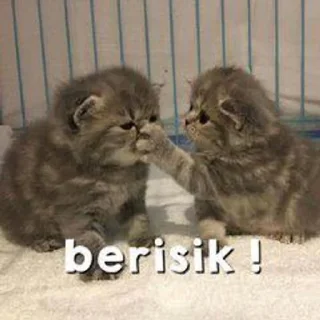 🌟 emoji Gitu deh Telegram sticker 23 of 66
