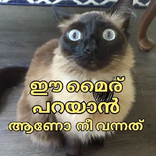 🫡 emoji Keralagamers set Telegram sticker 19 of 51