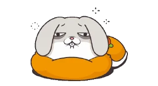 🌟 emoji very miss rabbit @iBeautyunjin Telegram sticker 7 of 25