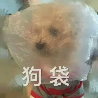 🙊 emoji 卡子的快乐生活 @J9_NB Telegram sticker 1 of 116