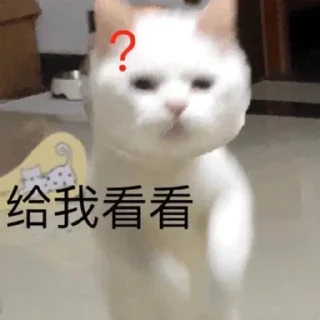 ❓ emoji 卡子的快乐生活 @J9_NB Telegram sticker 10 of 116