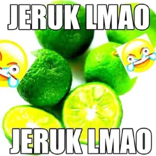 😂 emoji sokin ngab Telegram sticker 11 of 45