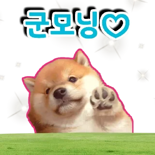 🐕‍🦺 emoji 🐶강아지단🐶 Telegram sticker 6 of 93