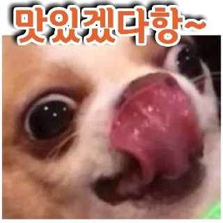 🐕‍🦺 emoji 🐶강아지단🐶 Telegram sticker 11 of 93