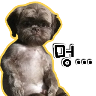 🐕‍🦺 emoji 🐶강아지단🐶 Telegram sticker 20 of 93