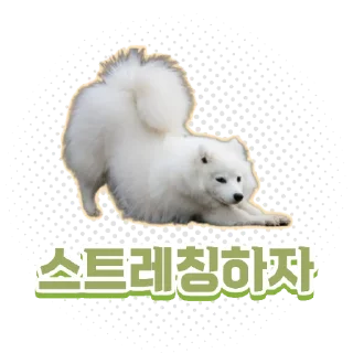 🐕‍🦺 emoji 🐶강아지단🐶 Telegram sticker 13 of 93