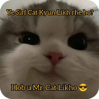 😀 emoji 𝐌𝐫. 𝐂𝐚𝐭 🐱 • @Im_MrCatmew Telegram sticker 19 of 33
