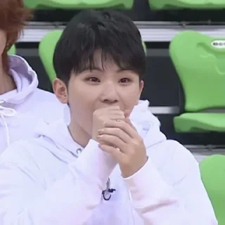 🍚 emoji woozi random Telegram sticker 8 of 24
