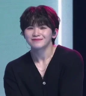 🍚 emoji woozi random Telegram sticker 17 of 24