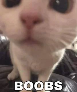 🥰 emoji marie’s kitty cat Telegram sticker 13 of 15
