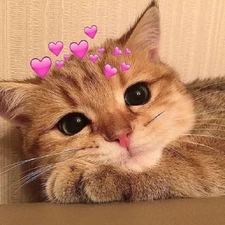 💖 emoji 𝗖𝘂𝘁𝗲 @XTYLISH_BABE Telegram sticker 7 of 43